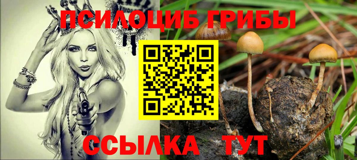 Ступино  Псилоцибиновые грибы мухоморы  Галлюциногенные грибы GOLDEN TEACHER  Вход с VPN 
