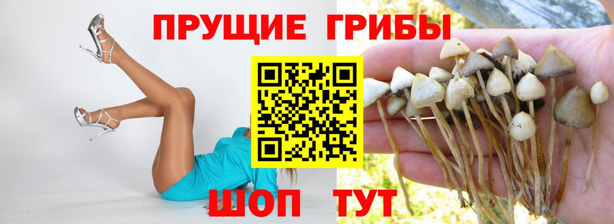 Псилоцибиновые грибы прущие грибы Ступино